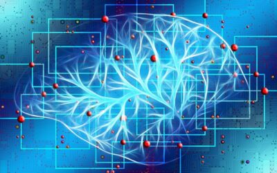 Nvidia vs. Meta: Which AI Stock Is a Smarter Investment?